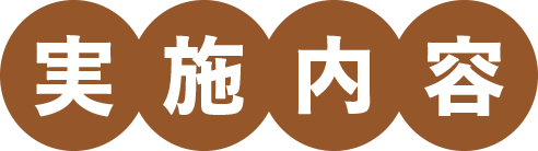 実施内容
